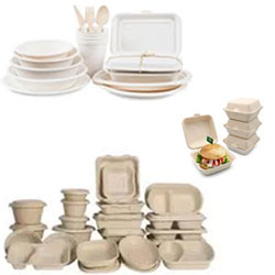 bagasse-products