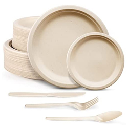 disposable-tableware